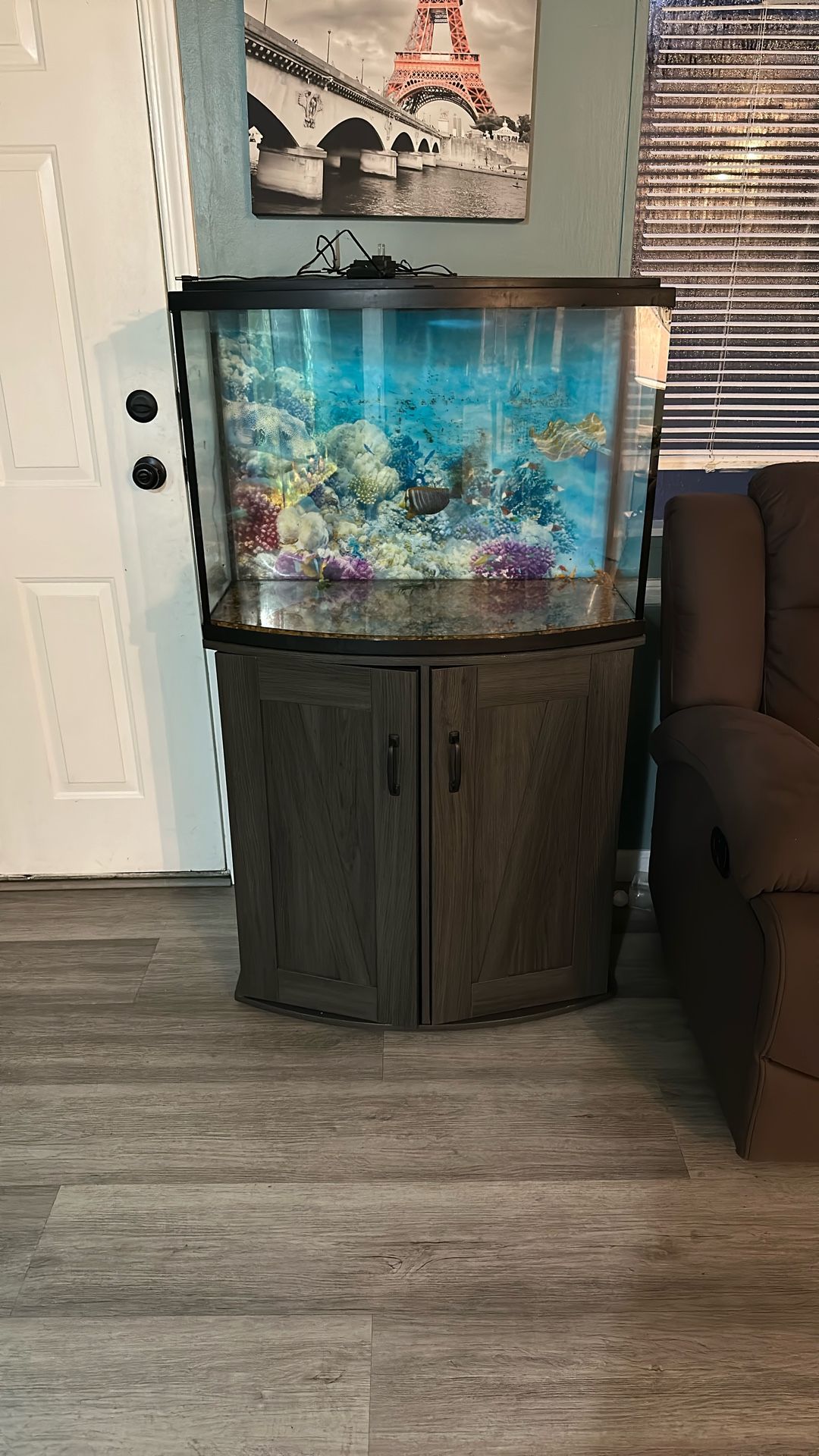 Fish Tank with Stand for Sale – ( 30 G )