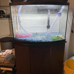Fish tank and Accessories 