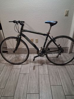 Marin  29"