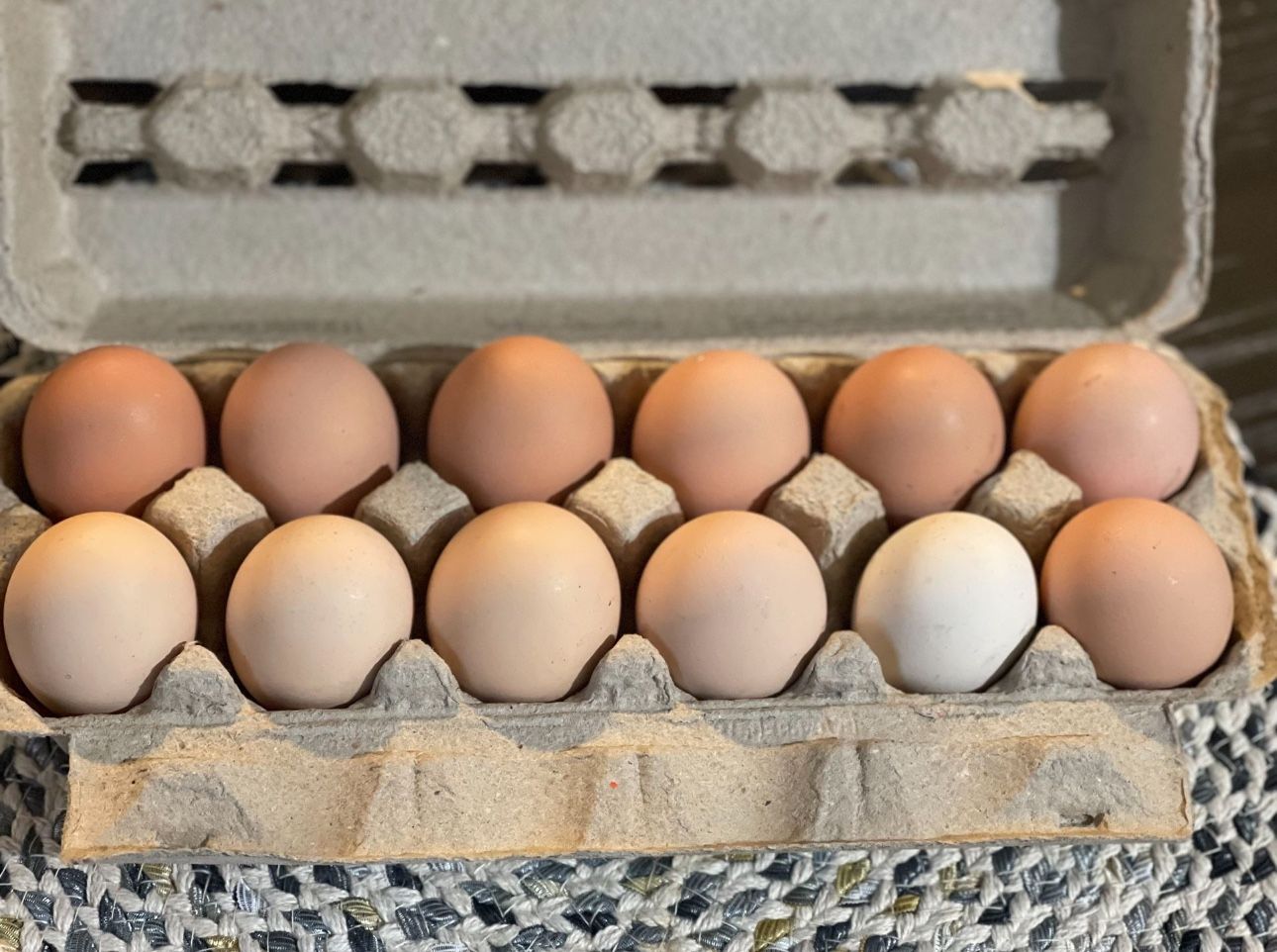 Farm Fresh Eggs 🍳  