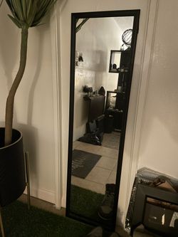 Door Or Wall Mirror