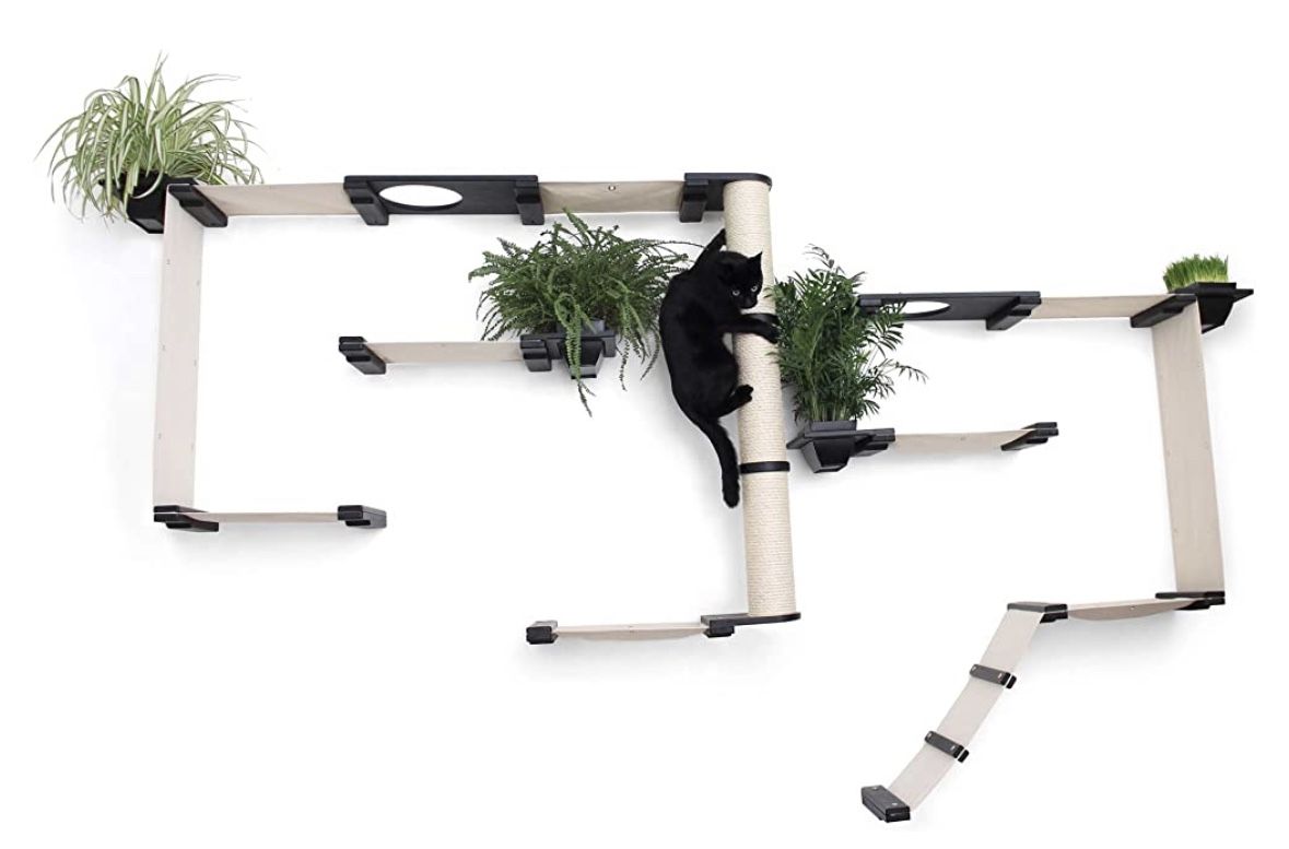 CatastrophiCreations Cat Wall Gym