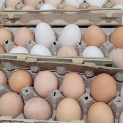 Fresh Ranch Eggs