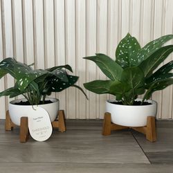 FAUX PLANT -  COLLA LILY