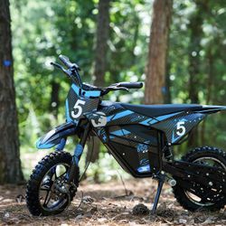 800 Watt 36 Volt Dirt Bike Put Bike . Too Of The Lintfffffx