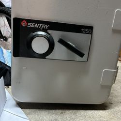 Sentry Fire Proof Metal Safe