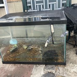 A Large Fish Tank For A Good Price 