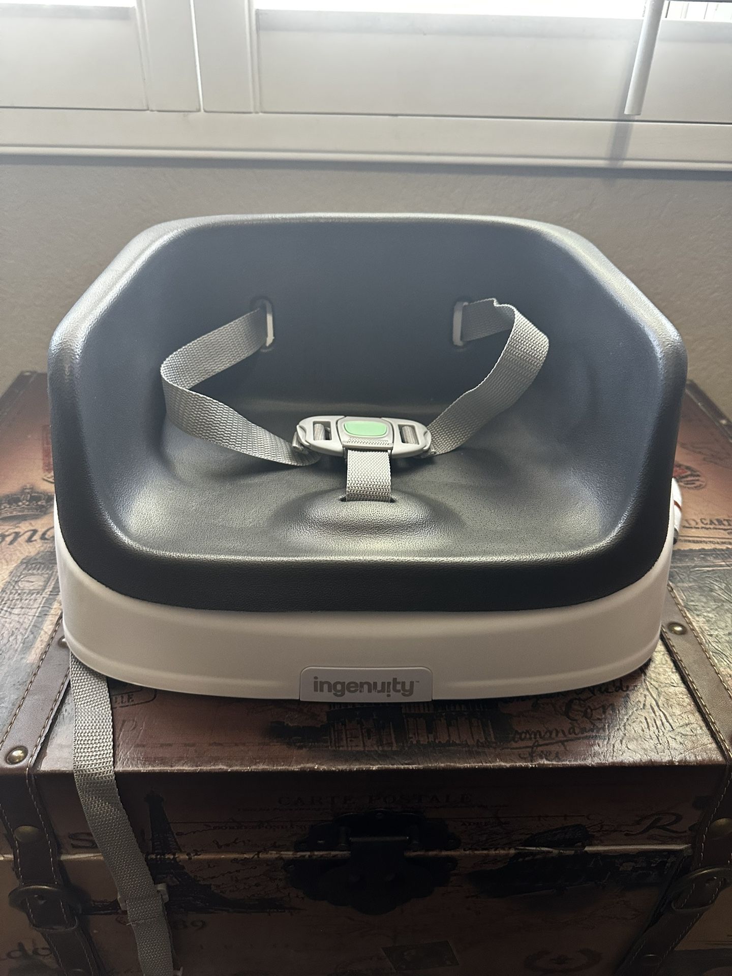 Ingenuity toddler Booster Seat. Brand new!