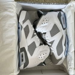 Jordan 6 Cool Grey 