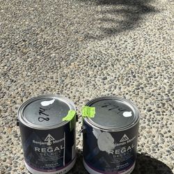 Brand New BM Regal interior Paint. 