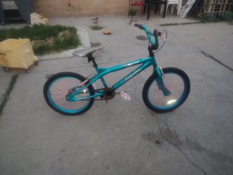 Kent 20 inch bike