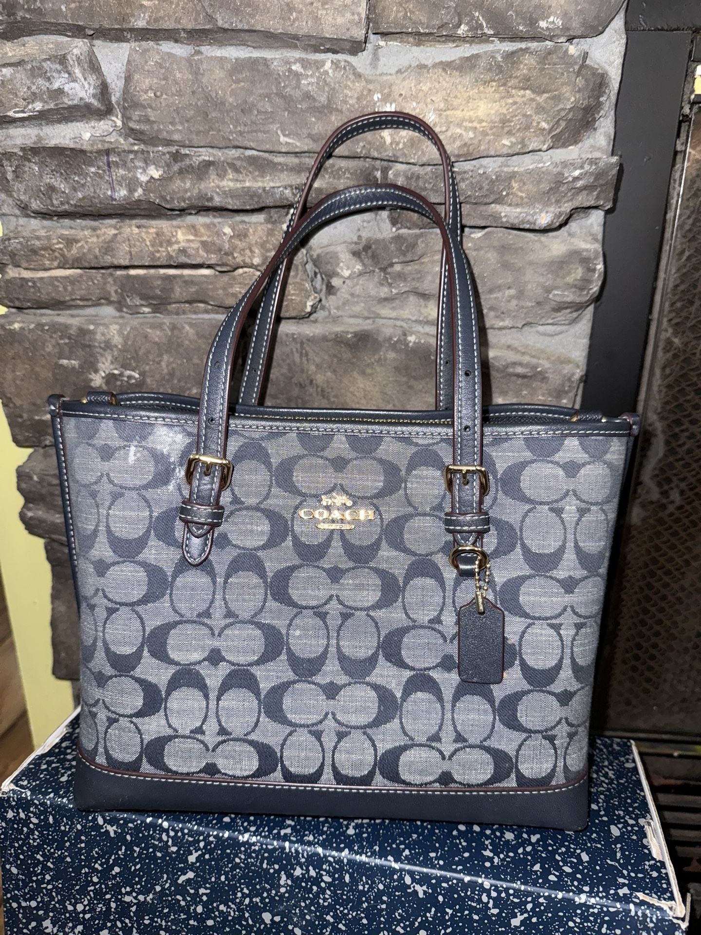 Coach Mollie Tote Bag