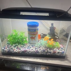 Fish Tank 