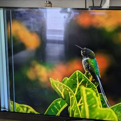 LG 65" Very Thin Smart TV