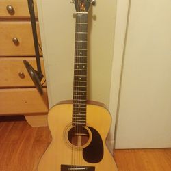 Alvarez Guitar 