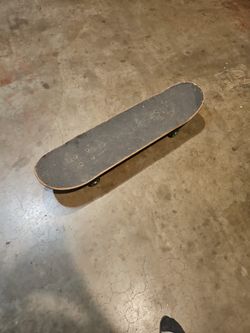 Skate Board