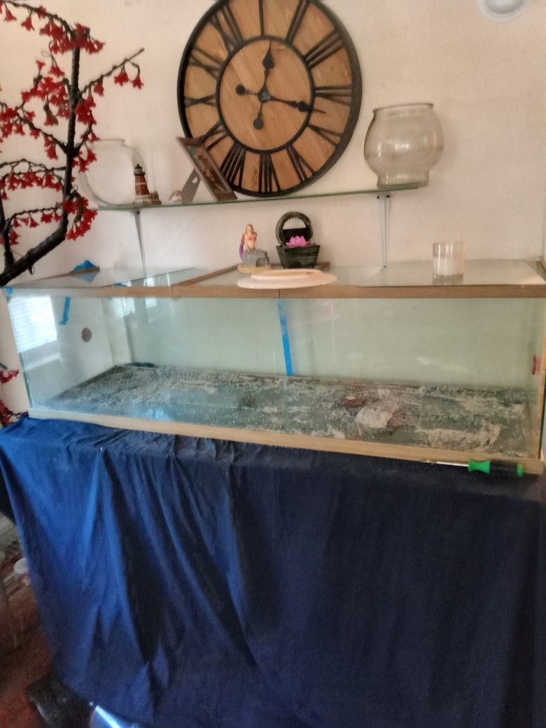 125 Gallon Reptile Tank