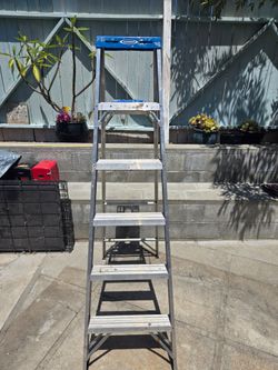 Werner 6-Foot Aluminum Step Ladder – 250 lb Capacity $50 OBO