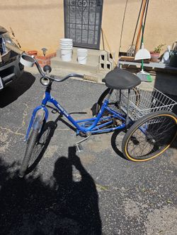 Vintage Miami Sun trike