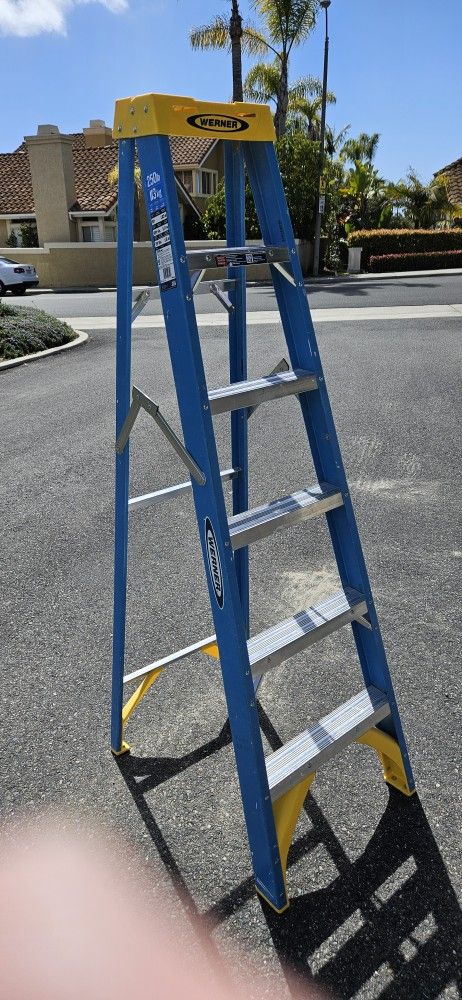 Werner 6' Fiberglass Ladder