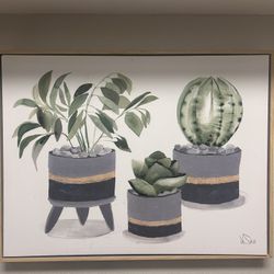 Succulent Canvas Art
