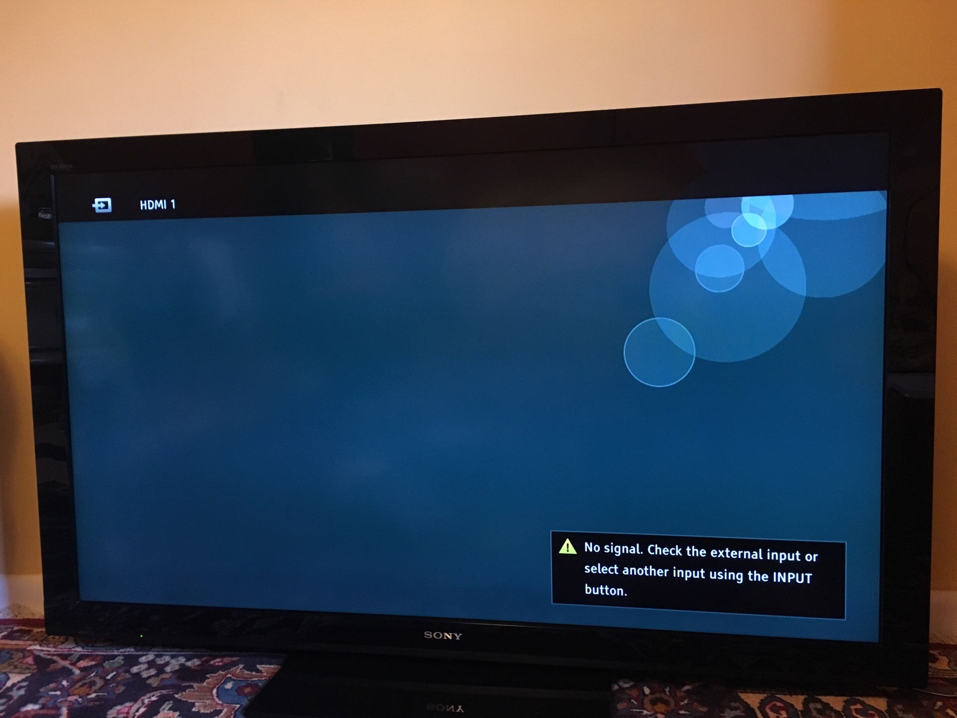 55” Sony Bravia TV - great condition