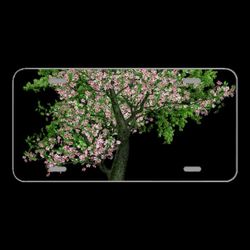 License Plate Novelty Car Front Tree Deciduous Tree Blossom
