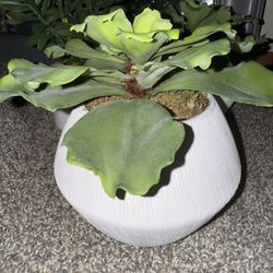 Fake Plant 