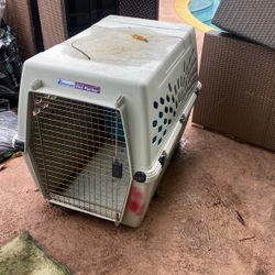 Big Dog Cage 