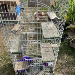  Chinchilla Cage