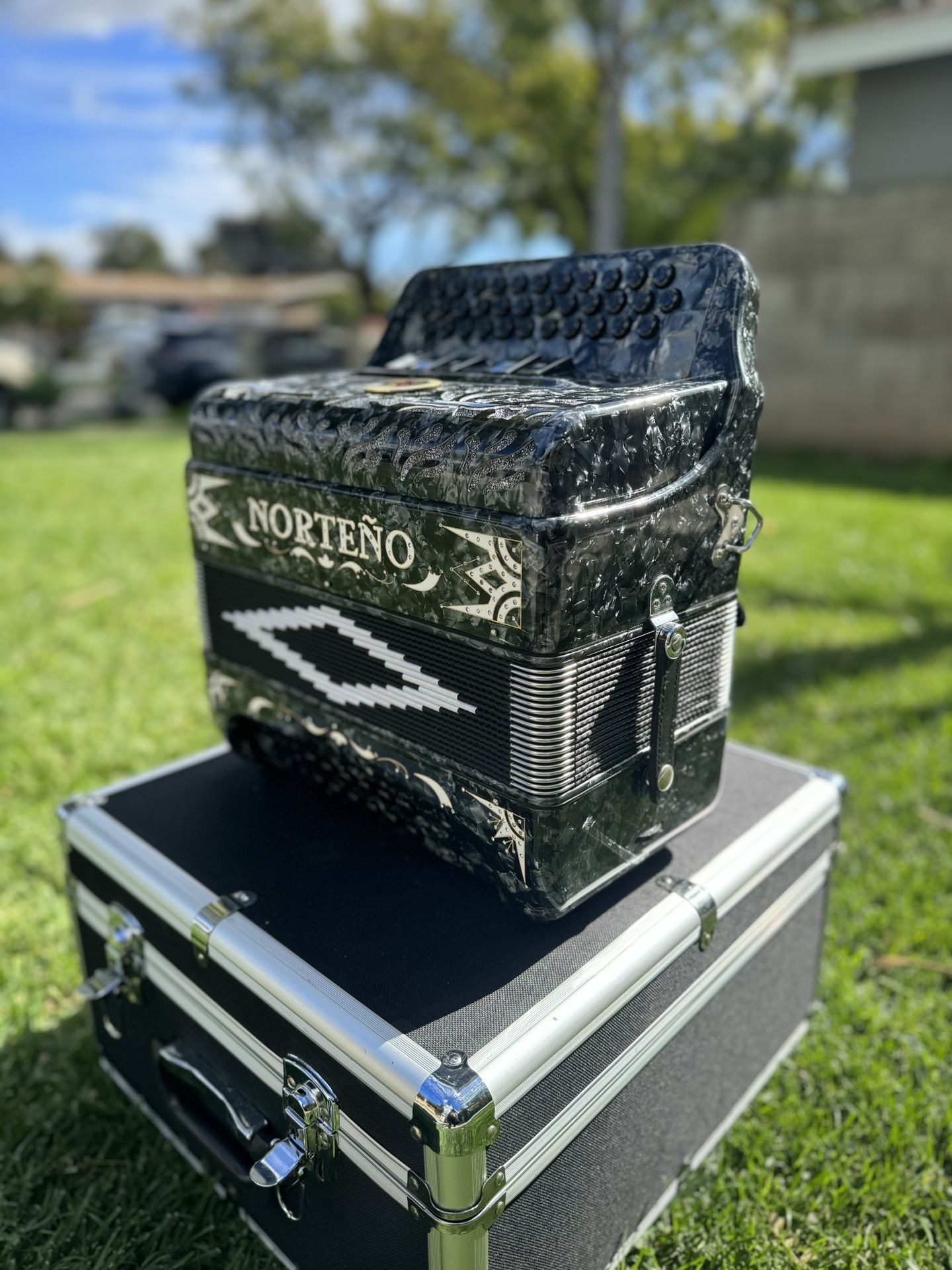 Accordion /acordeon Norteño (Gabbanelli) 2 Tonos