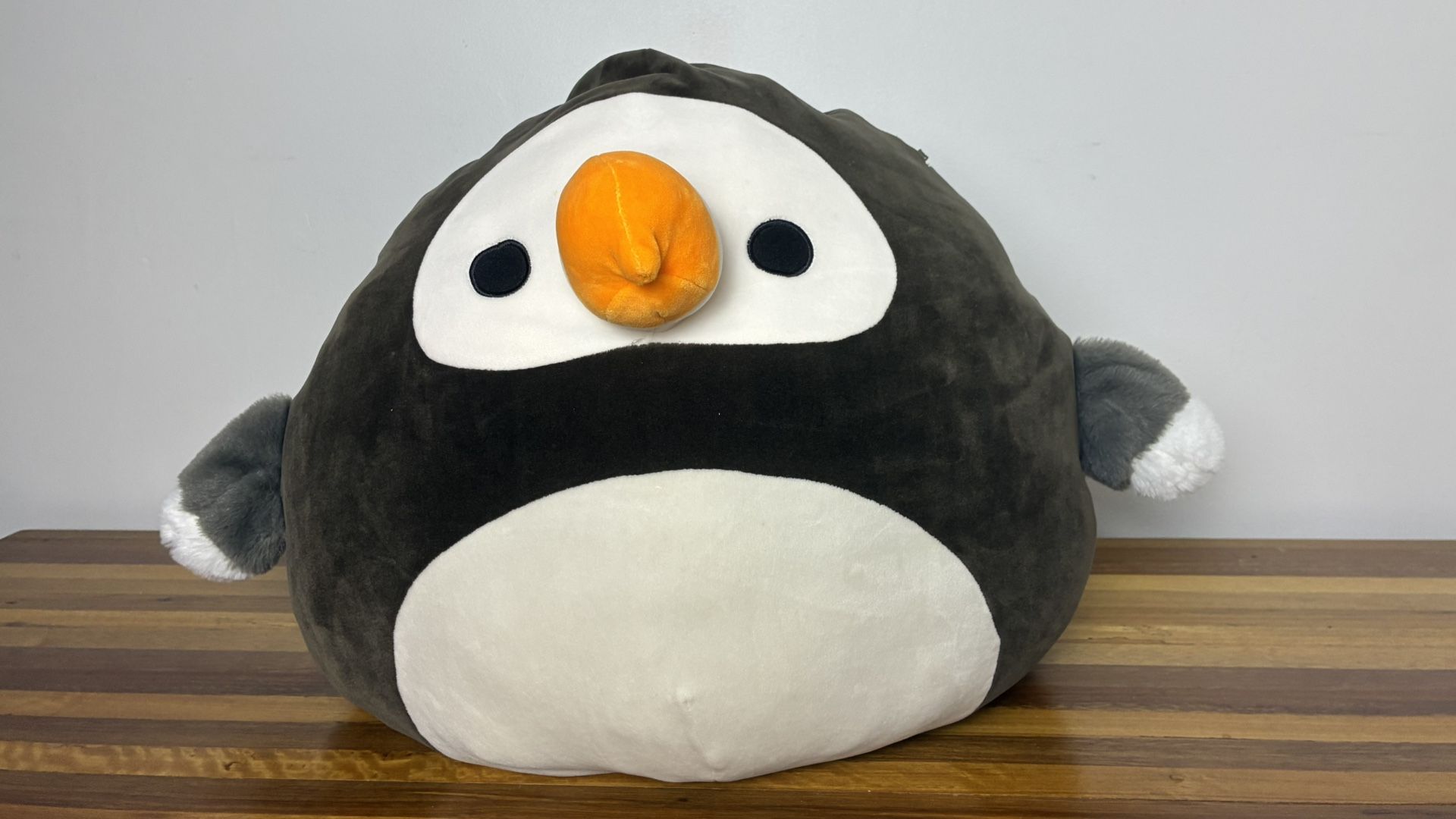 Donnan The Dodo Bird Squishmallows!