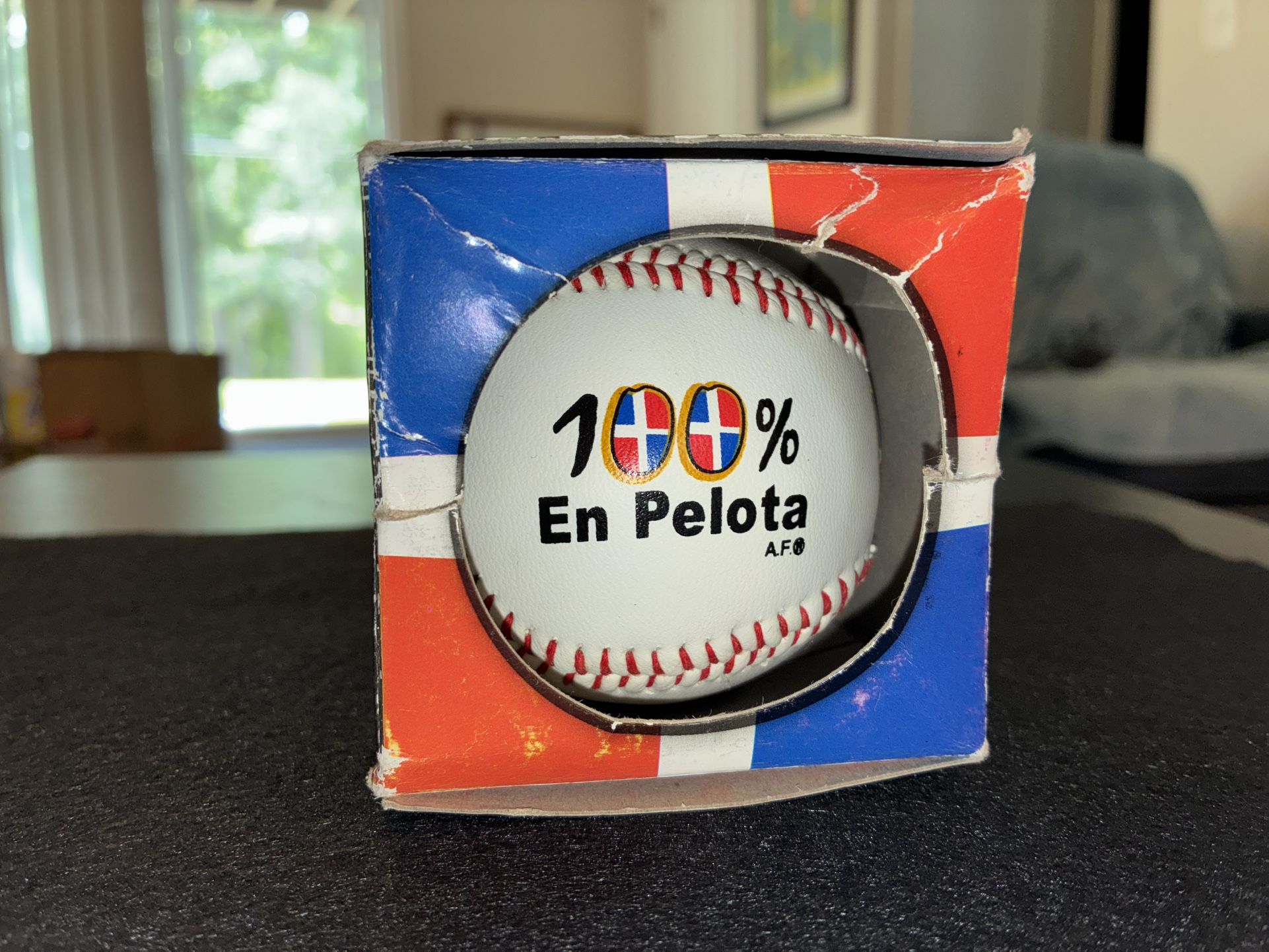 Republica Dominicana Logo Gift Shop Souvenir Collectible Baseball NEW