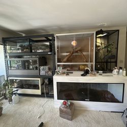 Reptile Supplies/ Downsizing My R Collection