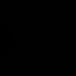 Baby Chick Non GMO Feed