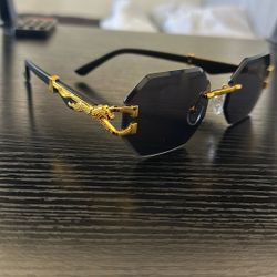 Sunglasses Elite (new)