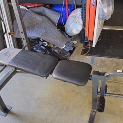 Golds Gym Weight Bench