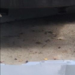 2024 Porsche panamera front bumper