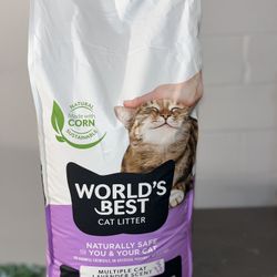 Cat Litter