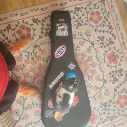 Gator Case - Guitar Case