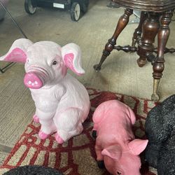 Concrete Pigs