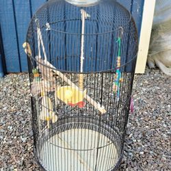 Birds Cage 