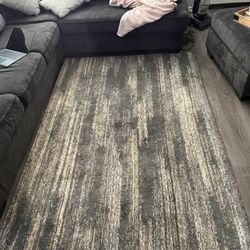 5x7 Area Rug