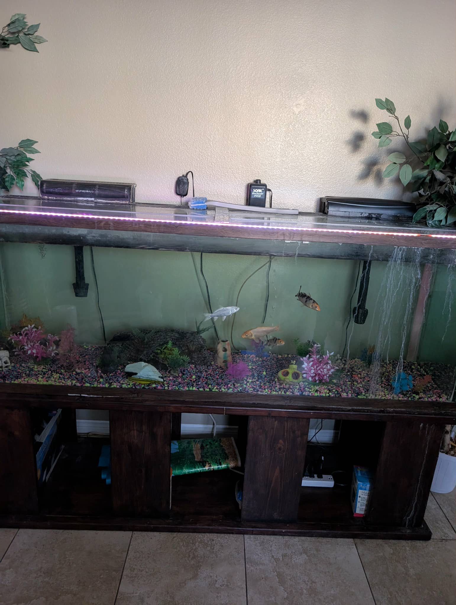 Fish Tank