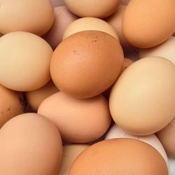 Eggs 🥚 Fresh From My backyard chickens