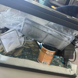 Fish Tank 