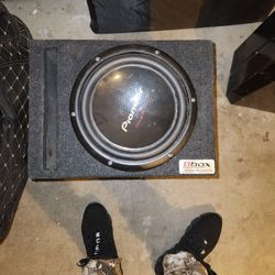 Pioneer 10" Champion Series Speaker With Box