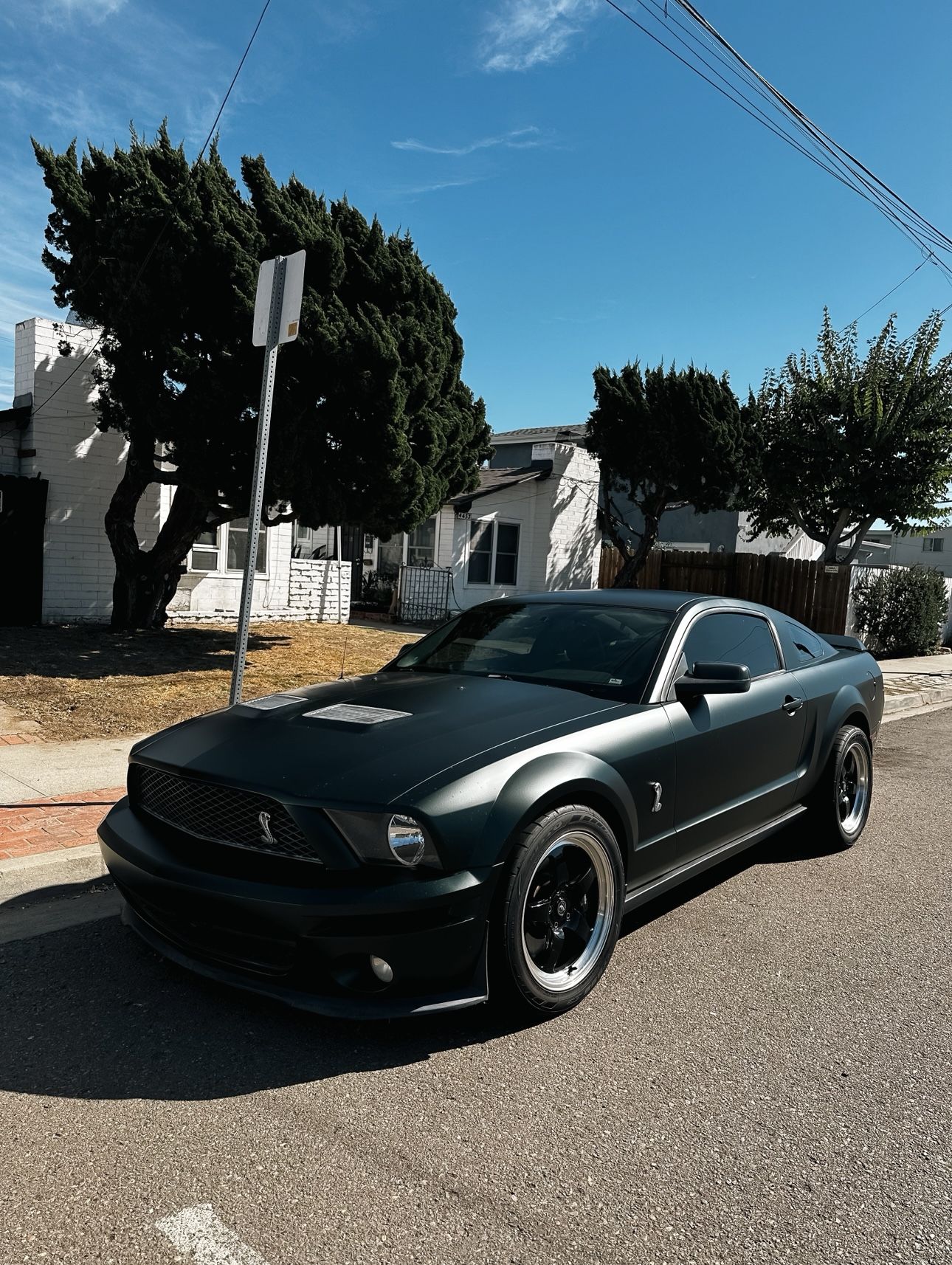 2008 Ford Shelby Gt500