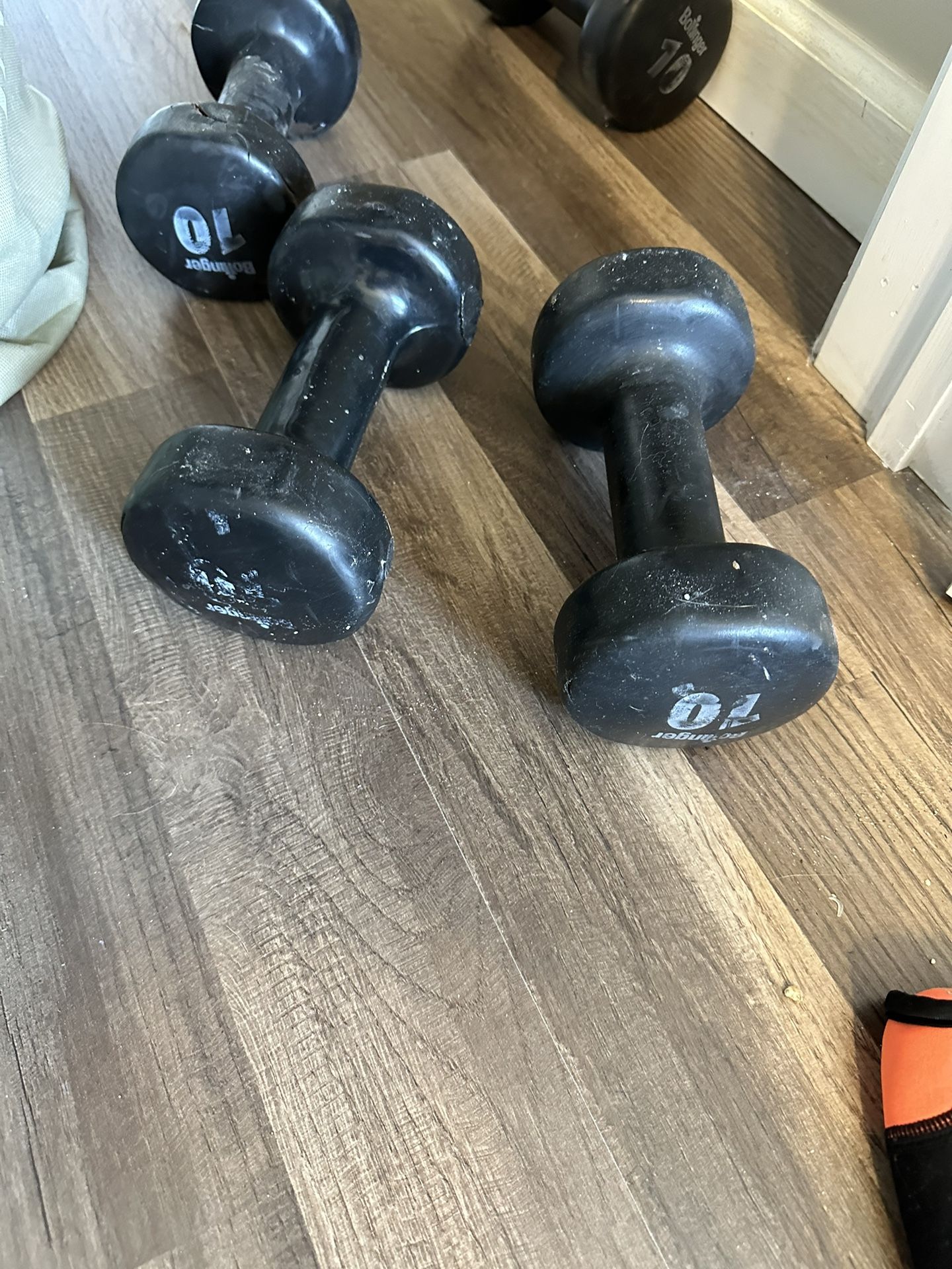 10 Pound Weights
