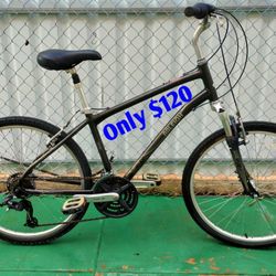 Raleigh Hybrid Bike / Bicycle – Adult